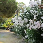Villaggio Turistico Camping Mare Blu Aparthotel 4*