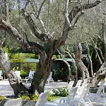 Villaggio Turistico Camping Mare Blu 4*