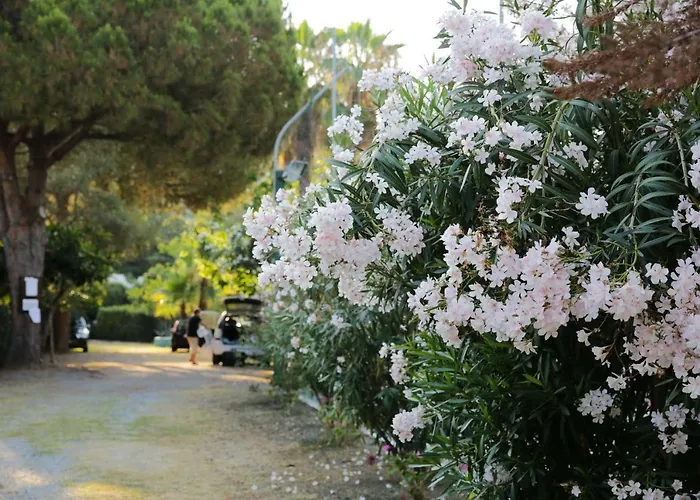 Villaggio Turistico Camping Mare Blu Apart-hotel 4*